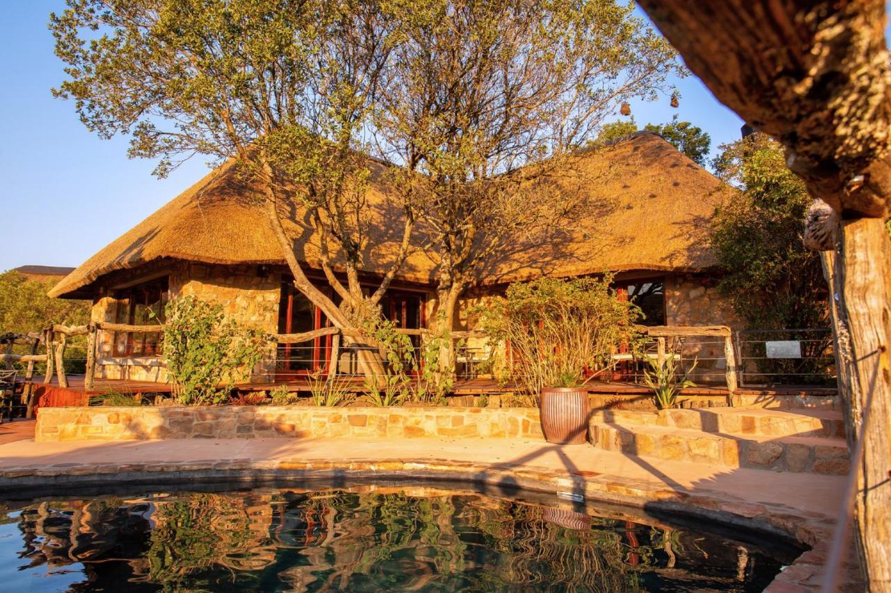 Lalibela Game Reserve Mark'S Camp Grahamstown Dış mekan fotoğraf