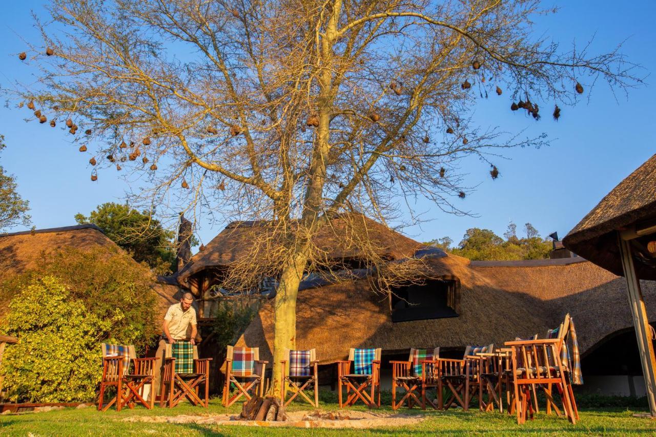 Lalibela Game Reserve Mark'S Camp Grahamstown Dış mekan fotoğraf