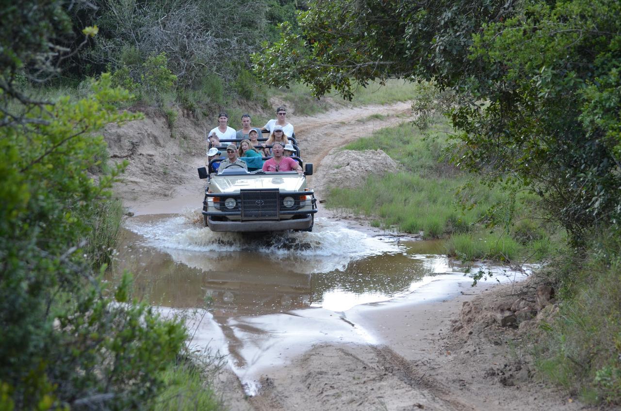 Lalibela Game Reserve Mark'S Camp Grahamstown Dış mekan fotoğraf