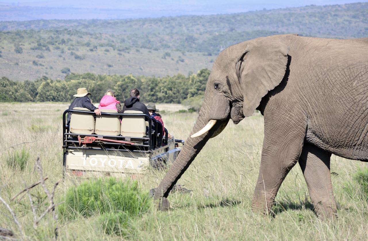 Lalibela Game Reserve Mark'S Camp Grahamstown Dış mekan fotoğraf