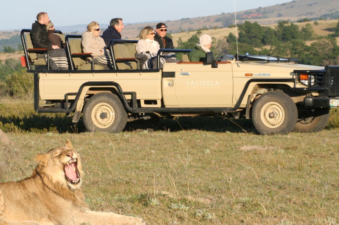 Lalibela Game Reserve Mark'S Camp Grahamstown Dış mekan fotoğraf